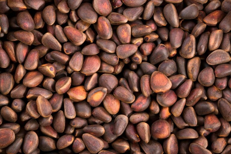 Ezért érdemes odafigyelni a magnéziumpótlásra a stresszes időszakokban